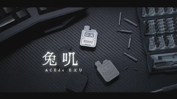 ACEdc Jumping Slider - Rabbot Series