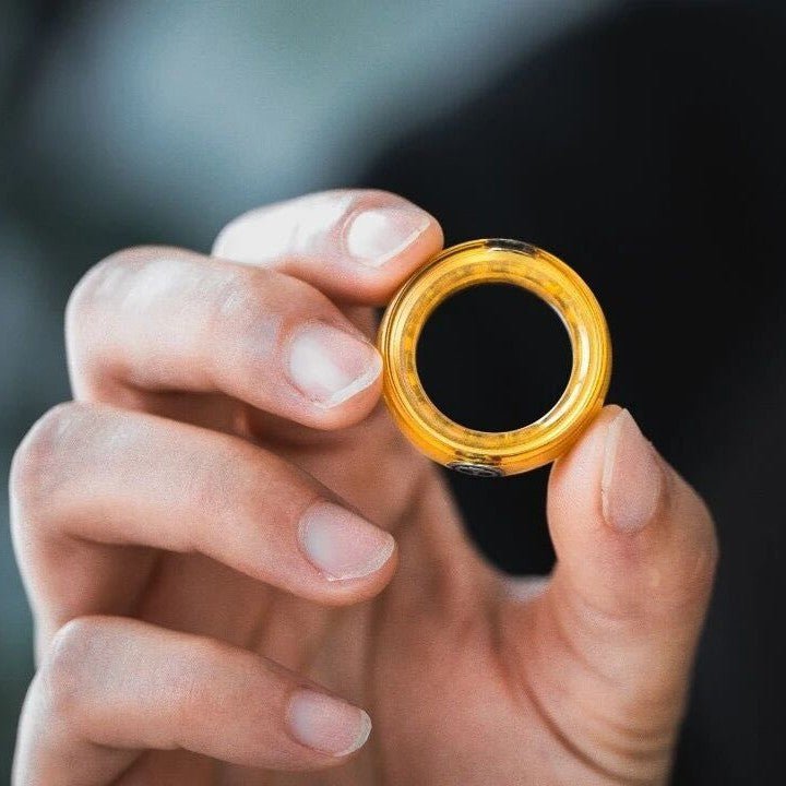 Lautie MECHANIC - I - MetaEDC