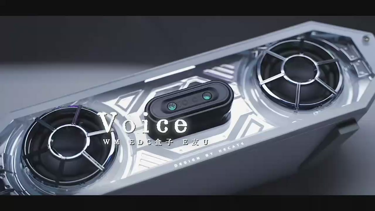 WM EDC VOICE Slider - MetaEDC