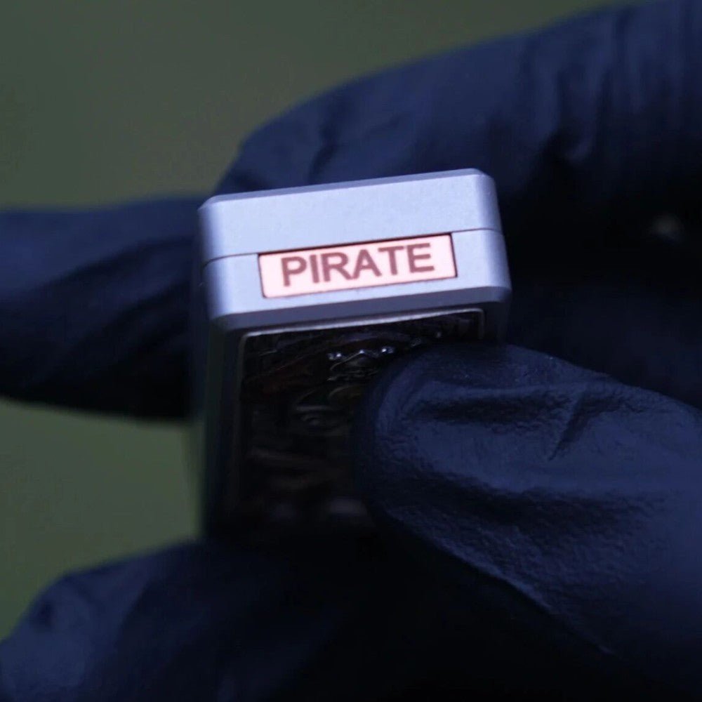 SAS Studio Pirate King - MetaEDC